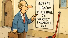 Vtip: Inzerát SZĽH pred MS 2010…